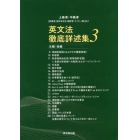 英文法徹底詳述集　上級者・中級者〈指導者・語学系学生・翻訳者・ライター等〉向け　３