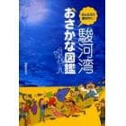 駿河湾おさかな図鑑　なんだろう隊が行く！