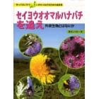 セイヨウオオマルハナバチを追え　外来生物とはなにか