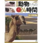 密着！動物たちの２４時間　サハラ砂漠編