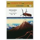 日本の昆虫　Ｖｏｌ．７
