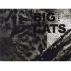 ＢＩＧ　ＣＡＴＳ