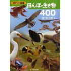 田んぼの生き物４００