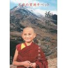 活佛（みろくぶつ）の微笑（ほほえみ）　天空の聖地チベット