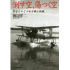 倒す空、傷つく空　撃墜をめざす味方機と敵機