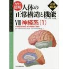 カラー図解人体の正常構造と機能　８