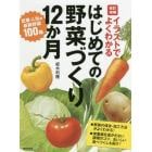 イラストでよくわかるはじめての野菜づくり１２か月　定番・人気の新鮮野菜１００種