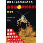 栗林慧ひみつの瞬間写真館　全４巻