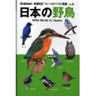 日本の野鳥