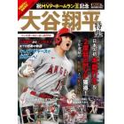 祝ＭＶＰ・ホームラン王記念大谷翔平特集ベースボールヒーローＢＯＯＫ