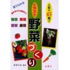 見てわかるイラスト野菜づくり　人気の６５種！！　種まきから収穫まで