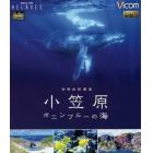 ＢＤ　世界自然遺産小笠原ボニンブルーの海