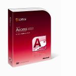 Microsoft　Access　2010　English