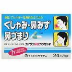 カイゲン　鼻炎カプセルP　24カプセル　【　指定第2類医薬品　】