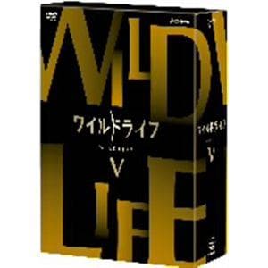 【DVD】ワイルドライフ　DVD-BOXV