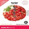 イメージランド 創造素材 食(55)春の旬食材(果物・野菜) 935699