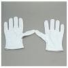 ケンコー ハーバー 編集・整理手袋 (Lサイズ・1セット) GL-1