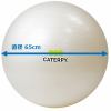CATERPY CF-009 フィットネスボール65cm パールホワイト