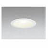 オーデリック 電球形蛍光灯インバータランプ EFA 15W 電球色 マットホワイト OD060186L