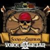 【CD】HAN-KUN ／ VOICE MAGICIAN 2～SOUND of the CARIBBEAN～(通常盤)