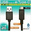 ラスタバナナ RBHE260 0.2m USB-C ⇔ USB-A ケーブル 充電・転送 ブラック
