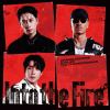 【CD】CHANSUNG(2PM) & AK-69 feat.CHANGMIN(2AM) ／ Into the Fire