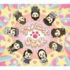 【CD】Girls2 ／ ジャパニーズSTAR(DVD付)