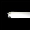 NEC FL20SW 直管形蛍光ランプ 「ライフライン」(20形・スタータ形／白色)