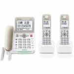 パイオニア　デジタルコードレス留守番電話機　子機2台タイプ　（シャンパンゴールド）　TF-SA70W-N
