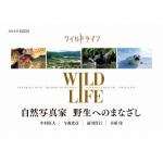 【DVD】ワイルドライフ　自然写真家　野生へのまなざし　DVD-BOX