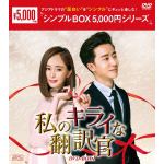 【DVD】私のキライな翻訳官　DVD-BOX1(シンプルBOX　5,000円シリーズ)