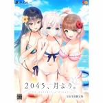 ２０４５、月より。　完全生産限定版　PS4　EGCS-00217