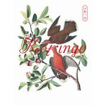 【DVD】コトリンゴ　／　小鳥一会　「小鳥観察　kotringo　Best」発売記念ライブ