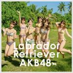【CD】AKB48　／　ラブラドール・レトリバー(Type　K)(初回限定盤)(DVD付)