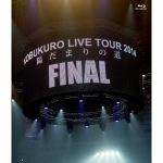 ＜BLU-R＞　コブクロ　／　KOBUKURO　LIVE　TOUR　2014“陽だまりの道”FINAL　at　京セラドーム大阪