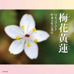 【CD】2024年度(第60回)日本コロムビア全国吟詠コンクール課題吟　梅花黄蓮(ばいかおうれん)