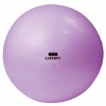 ツインズ　CF-010　フィットネスボール65ｃｍ　トレーニングマニュアル・専用計測テープ付　ＣＡＴＥＲＰＹ　［ＦＩＴＮＥＳＳ］　パープル