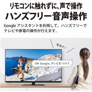 【推奨品】シャープ 4T-C55DN1 BS／CS 4K内蔵液晶テレビ 