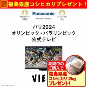 【期間限定ギフトプレゼント】パナソニック TV-65Z95A 65V型 有機ELテレビ 4Kチューナー内蔵 VIERA