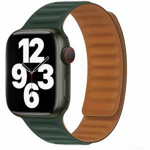 ロイヤルモンスター　RM3897GR　Apple　Watch用マグネットバンド　　　グリーン