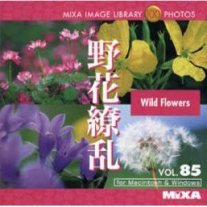 マイザ MIXA Image Library Vol.85「野花繚乱」