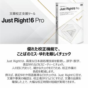 文章校正支援ツール　jast righ!6 pro
