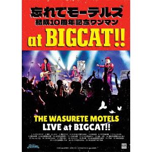 【DVD】忘れてモーテルズ結成10周年記念ワンマンat　BIGCAT!!!