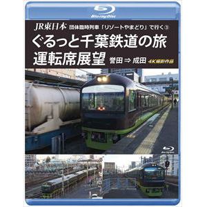 【BLU-R】JR東日本 団体臨時列車「リゾートやまどり」で行く(3)ぐるっと千葉鉄道の旅 運転席展望