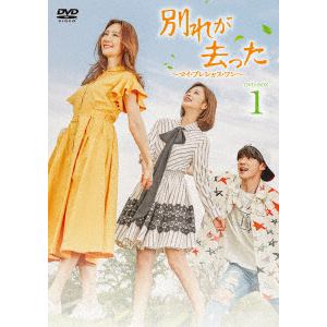 【DVD】別れが去った～マイ・プレシャス・ワン～　DVD-BOX1