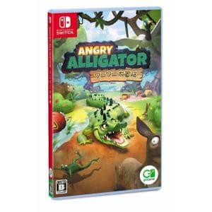 Angry　Alligator　ワニワニ大冒険　Nintendo　Switch　HAC-P-AZBYB