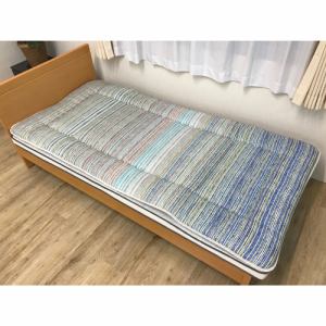 [シングル]イケヒコ・コーポレーション 洗える敷布団イリス 約100×210cm