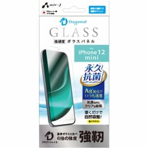 エアージェイ VG-P20S-DR iPhone12mini永久抗菌仕様ガラスパネル ドラゴントレイル クリア