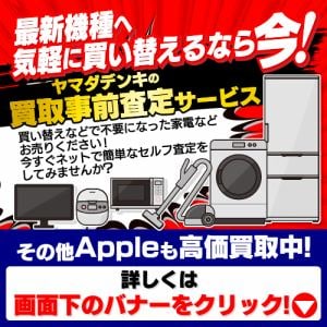 アップル Apple MGYL3J/A AirPods Max ワイヤレスヘッドホン 