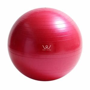 アルインコ WBN055P エクササイズボール 55cm ピンク